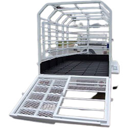 Cattle Trailer